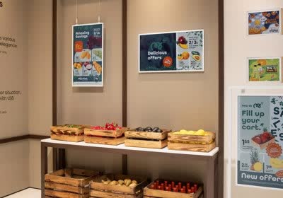 samsung ise display e-paper